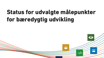 DSG rapport - Dansk Statistik